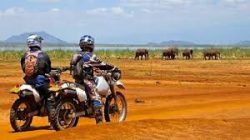 Explore Motorcycle Safaris