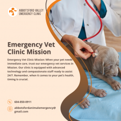 Round-the-Clock 24/7 Emergency Vet Clinic in Mission