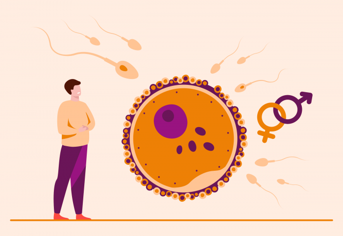 Best Male Fertility Test: Identifying Key Factors for Conception