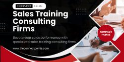 Expert Sales Training Consulting Firms | The Connect Points