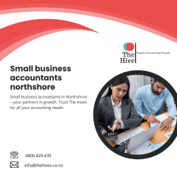 Optimize Your Financial Strategy with Small Business Accountants Northshore
