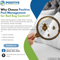 NYC’s Trusted Bed Bug Exterminator