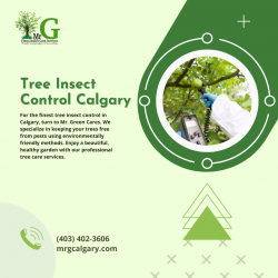 Get effective Tree Insect Control Calgary services from Mr. G Calgary.