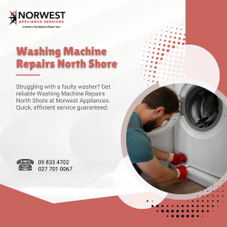 Quick and Reliable Washing Machine Repairs in North Shore