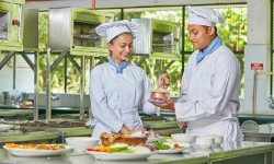 Diploma In Hotel And Restaurant Management