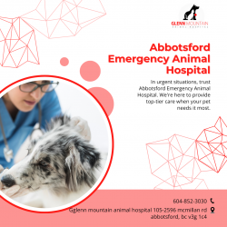 Abbotsford Emergency Animal Hospital is comfortable so pets can relax