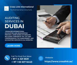 Choose the Best Auditing Services in Dubai