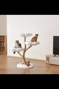 Buy Our Deluxe Cat Tree Online