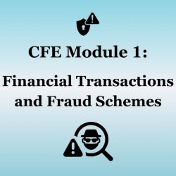 Learn About Financial Transactions and Fraud Schemes