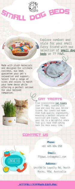 Choosing The Best Small Dog Beds For Your Pet