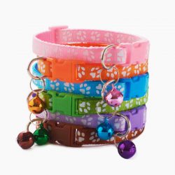 Pet Collars