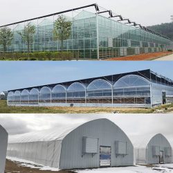 Commercial Greenhouse