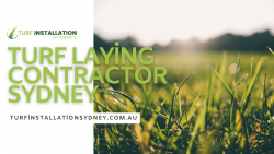 Contact Turf Laying Contractor Sydney – Premium Services