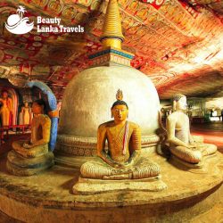 Sri Lanka Tour Packages – Beauty Lanka Travels