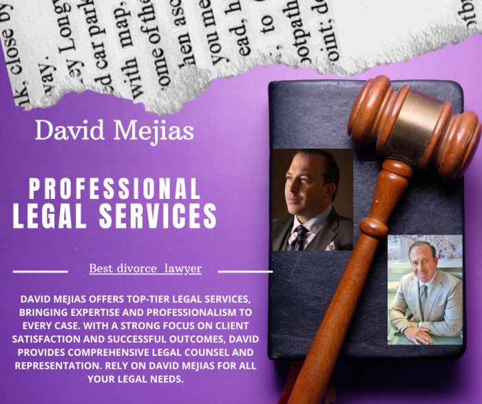 David Mejias: Professional Legal Services
