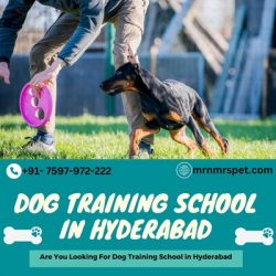 Best Dog Training School in Hyderabad