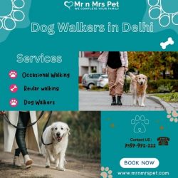 The Best Dog Walkers in Delhi NCR