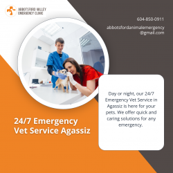 Dependable 24/7 Emergency Vet Service in Agassiz