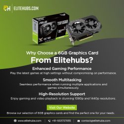 Why Choose a 6GB Graphics Card From Elitehubs?