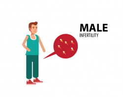 Tackling Male Infertility: Advanced Solutions at Dr. Mazen in Dubai