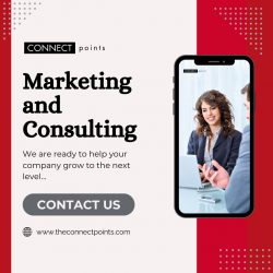 Marketing and Consulting Services