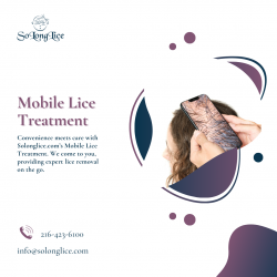 Effective Mobile Lice Treatment Services On-the-Go