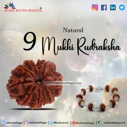 Buy 9 Mukhi Rudraksha From Rashi Ratan Bhagya At Genuine