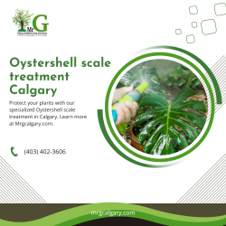 Discover effective Oystershell scale treatment Calgary options at Mr. G Calgary.