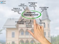Property Management Courses Online: Flexible Learning Options