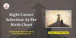 Right Career Selection As Per Birth Chart