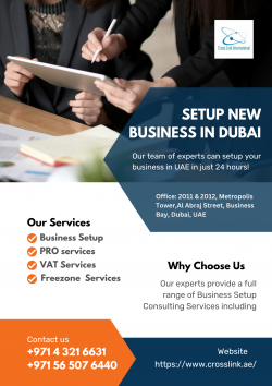 Best Business Setup Company in Dubai