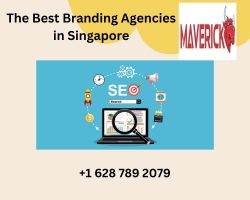The Best Branding Agencies in Singapore