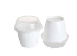 The rise of plastic yogurt cups