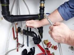 Plumber Ashfield: Reliable Plumbing Services in Sydney