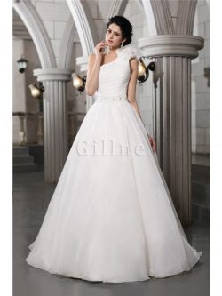 Abito da Sposa Cerniera Principessa Senza Maniche in Organza A-Line – Gillne.it