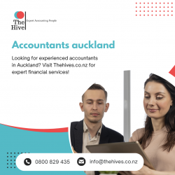 Accountants Auckland – Your Trusted Financial Partners