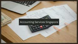 Streamline Your Finances with Expert Accounting Services in Singapore