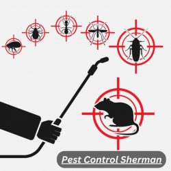 Pest Control Solutions in Sherman