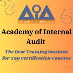 Academy of Internal Audit – Best Training Institute For CFE