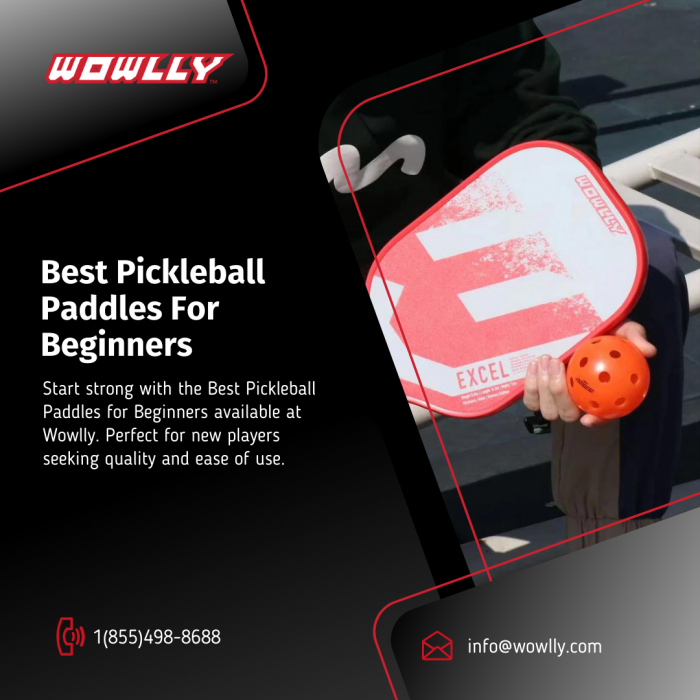 Best Pickleball Paddles for Beginners: Your Ultimate Guide on Wowlly.com