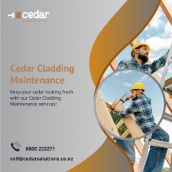 We provide the best Cedar cladding maintenance Auckland