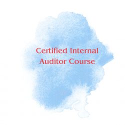 Get Training For The CIA Certification Course From AIA