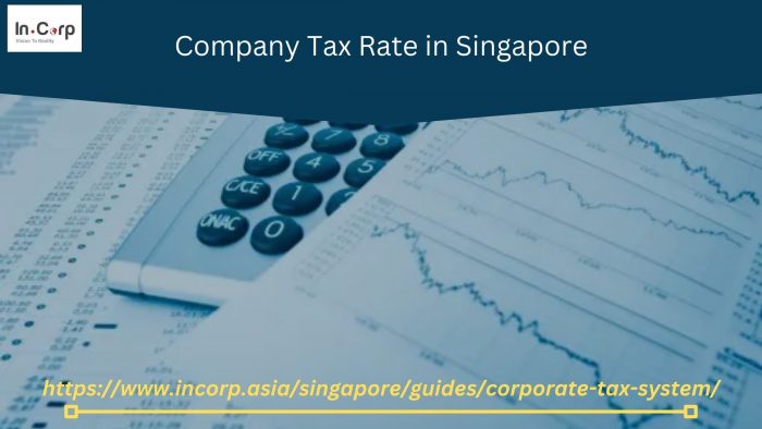 Optimizing Your Company Tax Rate in Singapore