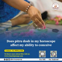 Does pitru dosh in my horoscope affect my ability to conceive