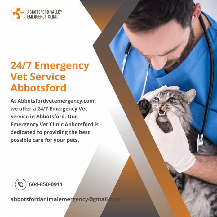 Immediate and Compassionate 24/7 Emergency Vet Service in Abbotsford