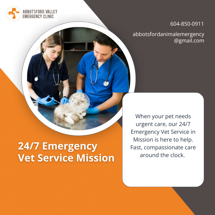 Round-the-Clock 24/7 Emergency Vet Service in Mission