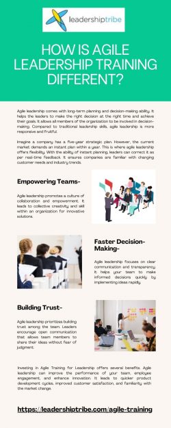 How Is Agile Leadership Training Different?