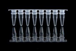 pcr strip tube