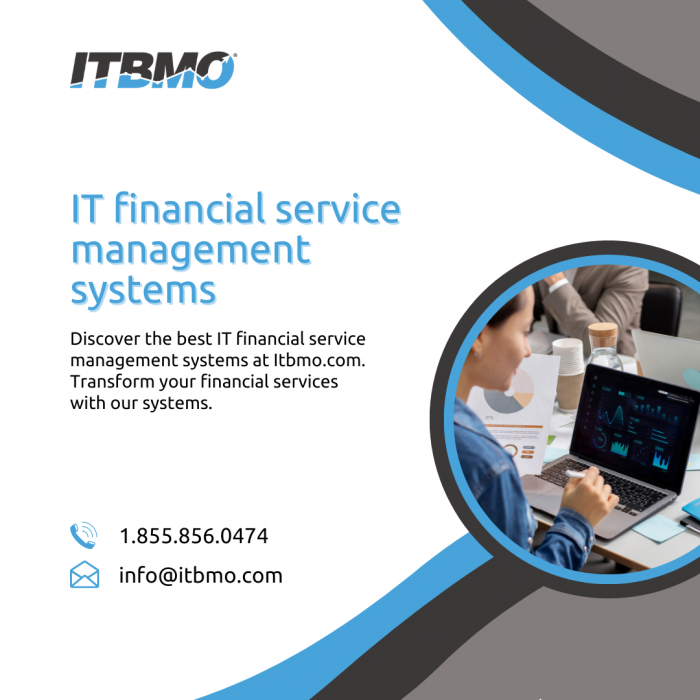 Optimize Efficiency with IT Financial Service Management Systems