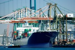 Ocean Freight Forwarders Agency in Singapore